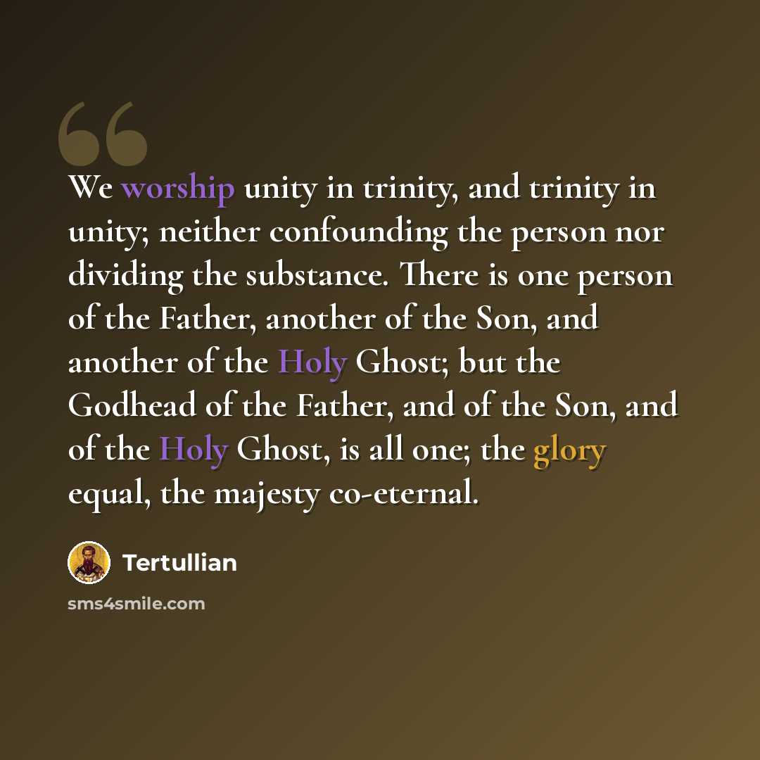 “We worship unity in trinity, and trinity in unity; neither confounding the person nor dividing the substance. There is one person of the Father, another of the Son, and another of the Holy Ghost; but the Godhead of the Father, and of the Son, and of the Holy Ghost, is all one; the glory equal, the…” quote by Tertullian