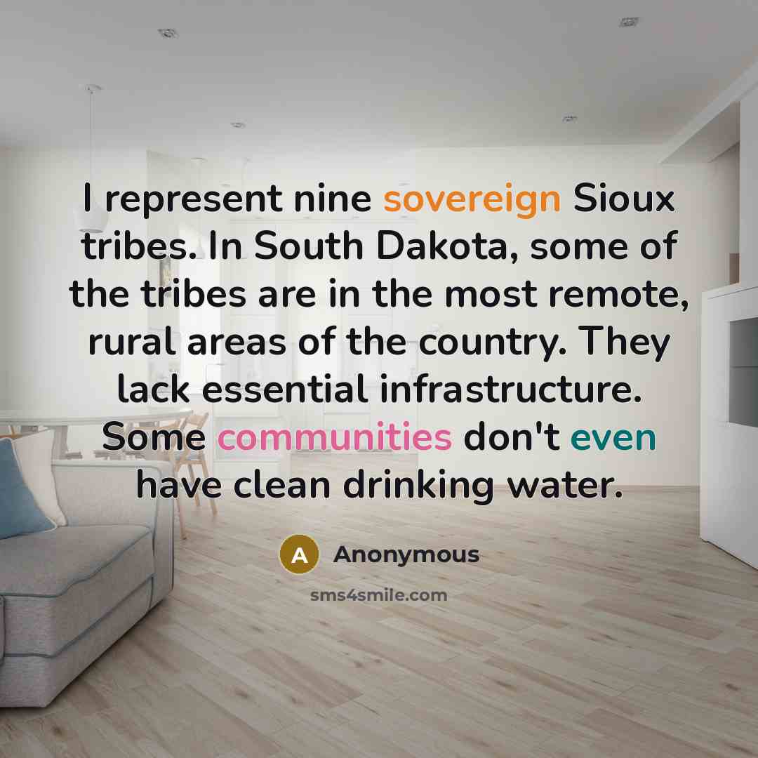 “I represent nine sovereign Sioux tribes. In South Dakota, some of the tribes are in the most remote, rural areas of the country. They lack essential infrastructure. Some communities don't even have clean drinking water.” quote by Anonymous