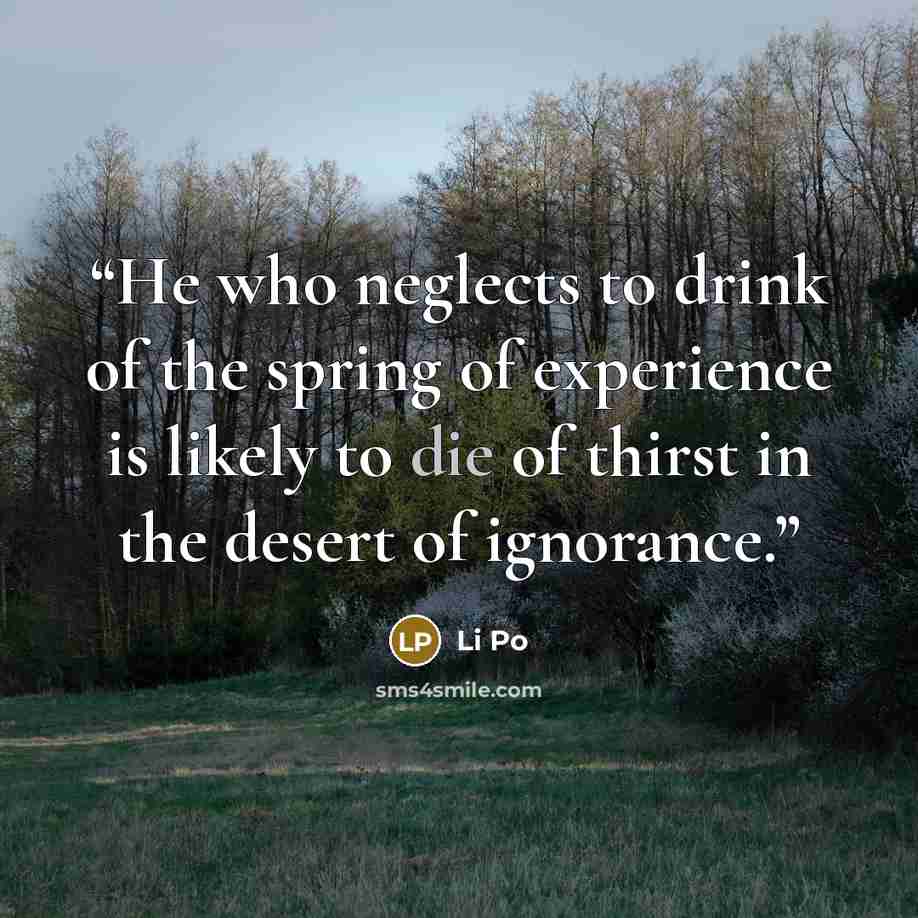 “He who neglects to drink of the spring of experience is likely to die of thirst in the desert of ignorance.” quote by Li Po