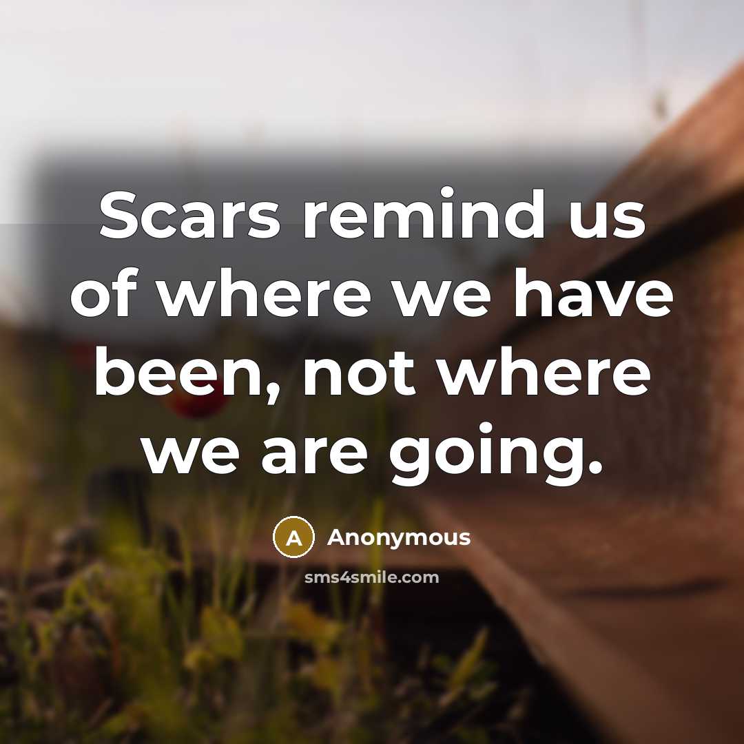 “Scars remind us of where we have been, not where we are going.” quote by Anonymous