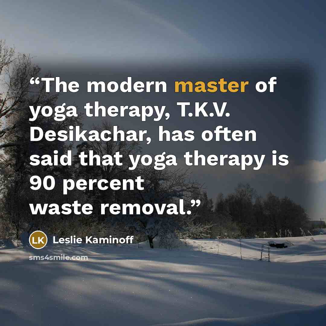 “The modern master of yoga therapy, T.K.V. Desikachar, has often said that yoga therapy is 90 percent waste removal.” quote by Leslie Kaminoff