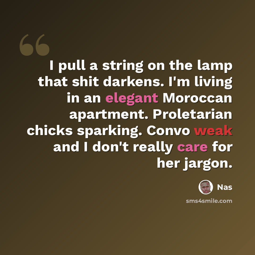 “I pull a string on the lamp that shit darkens. I'm living in an elegant Moroccan apartment. Proletarian chicks sparking. Convo weak and I don't really care for her jargon.” quote by Nas