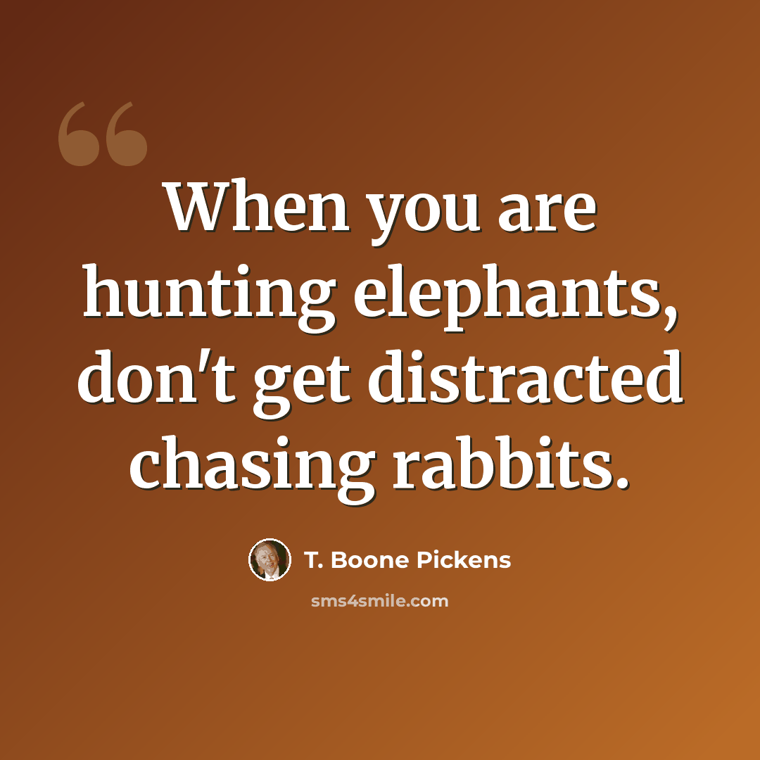 “When you are hunting elephants, don't get distracted chasing rabbits.” quote by T. Boone Pickens