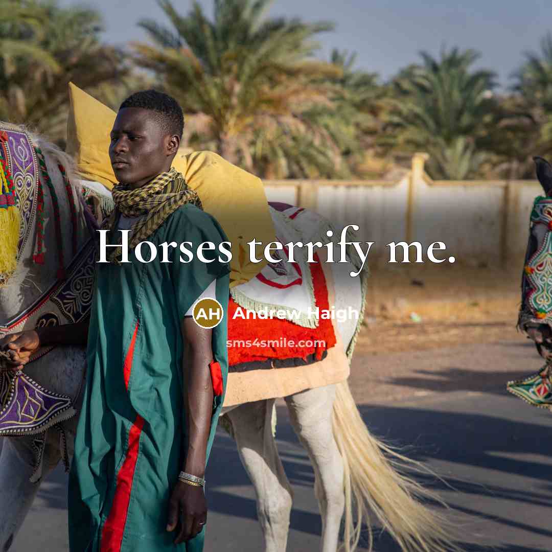 “Horses terrify me.” quote by Andrew Haigh