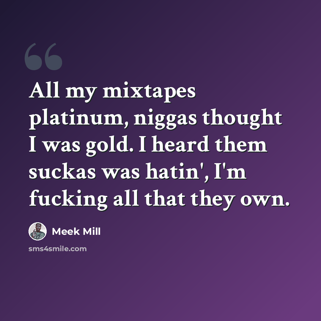 “All my mixtapes platinum, niggas thought I was gold. I heard them suckas was hatin', I'm fucking all that they own.” quote by Meek Mill