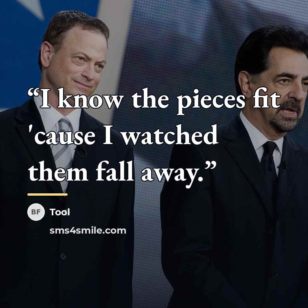 “I know the pieces fit 'cause I watched them fall away.” quote by Tool