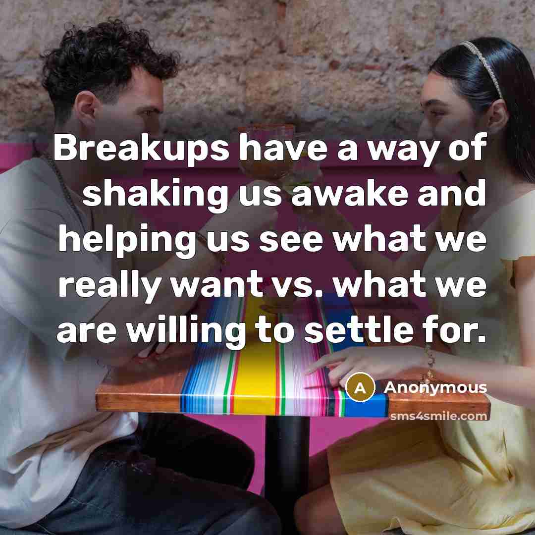 “Breakups have a way of shaking us awake and helping us see what we really want vs. what we are willing to settle for.” quote by Anonymous