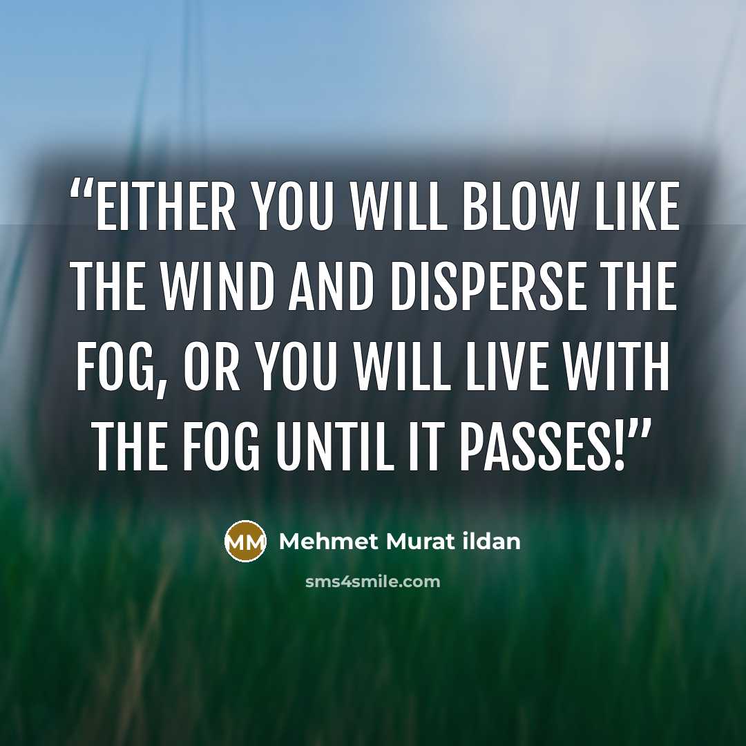 “Either you will blow like the wind and disperse the fog, or you will live with the fog until it passes!” quote by Mehmet Murat ildan