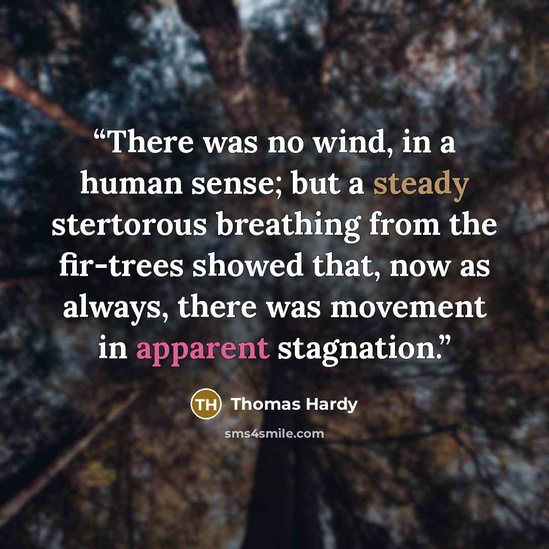 “There was no wind, in a human sense; but a steady stertorous breathing from the fir-trees showed that, now as always, there was movement in apparent stagnation.” quote by Thomas Hardy