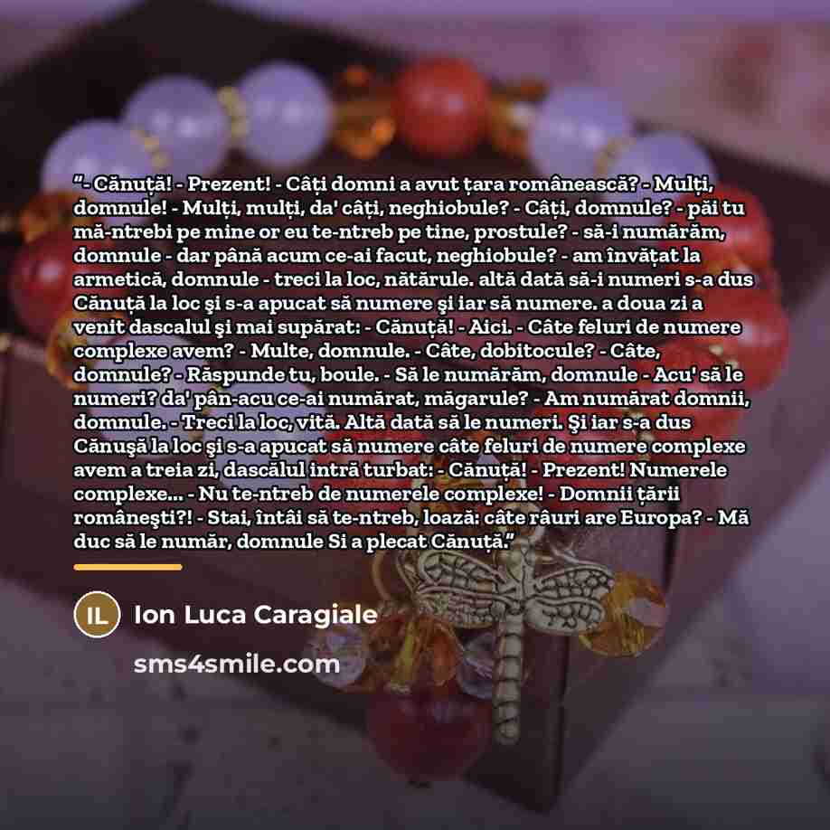 “- Cănuţă! - Prezent! - Câţi domni a avut ţara românească? - Mulţi, domnule! - Mulţi, mulţi, da' câţi, neghiobule? - Câţi, domnule? - păi tu mă-ntrebi pe mine or eu te-ntreb pe tine, prostule? - să-i numărăm, domnule - dar până acum ce-ai facut, neghiobule? - am învăţat la armetică, domnule - treci…” quote by Ion Luca Caragiale