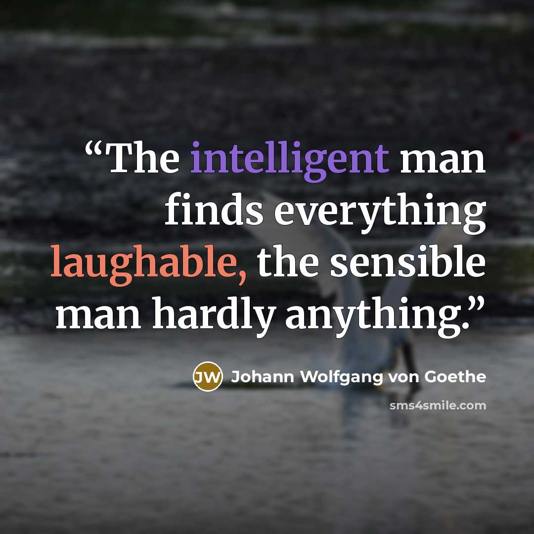 “The intelligent man finds everything laughable, the sensible man hardly anything.” quote by Johann Wolfgang von Goethe