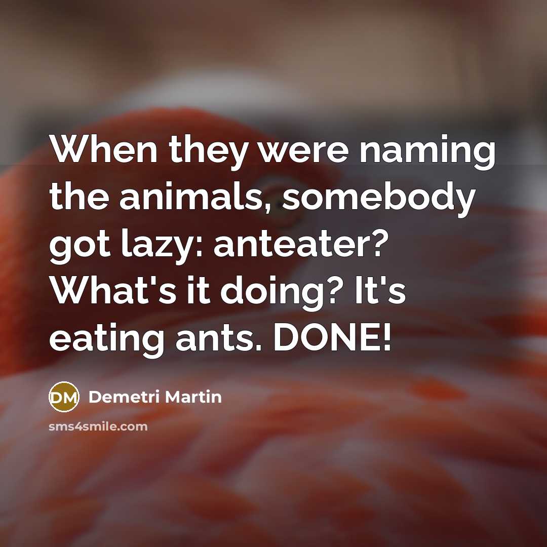 “When they were naming the animals, somebody got lazy: anteater? What's it doing? It's eating ants. DONE!” quote by Demetri Martin