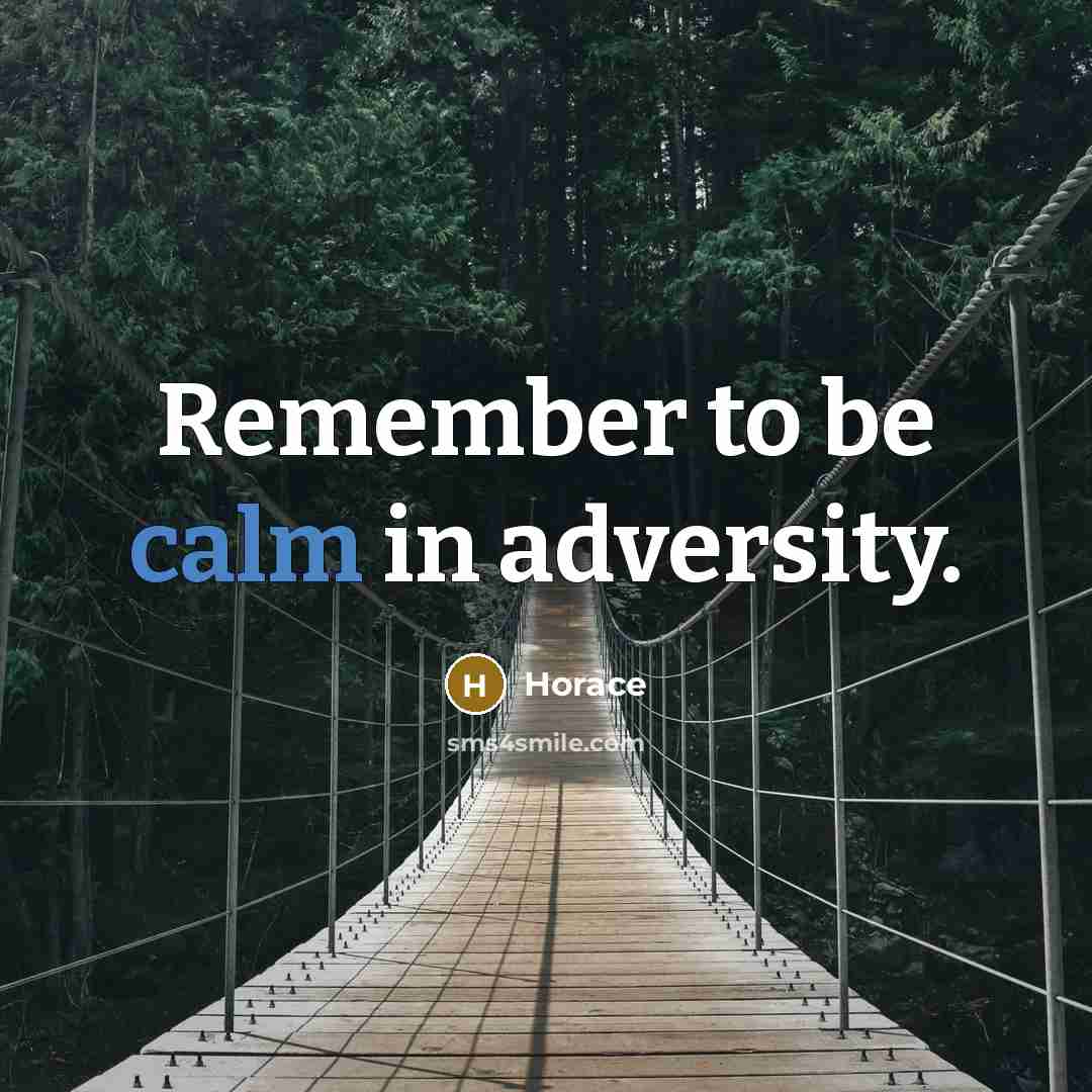 “Remember to be calm in adversity.” quote by Horace