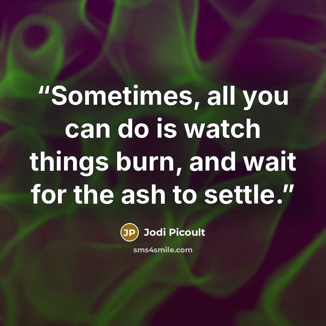 “Sometimes, all you can do is watch things burn, and wait for the ash to settle.” quote by Jodi Picoult