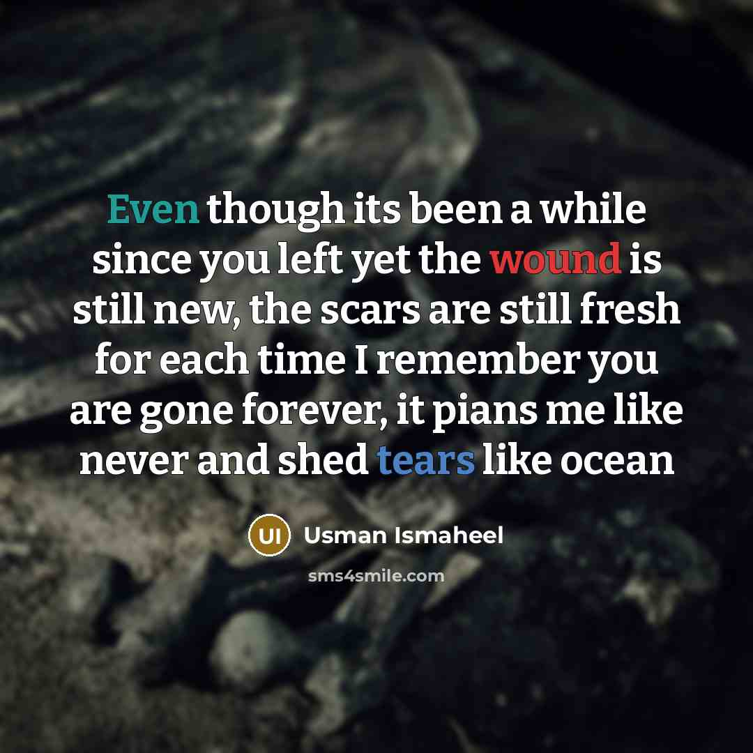 “Even though its been a while since you left yet the wound is still new, the scars are still fresh for each time I remember you are gone forever, it pians me like never and shed tears like ocean” quote by Usman Ismaheel