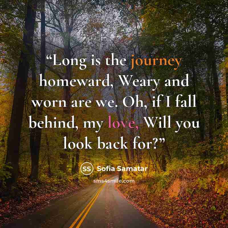 “Long is the journey homeward, Weary and worn are we. Oh, if I fall behind, my love, Will you look back for?” quote by Sofia Samatar