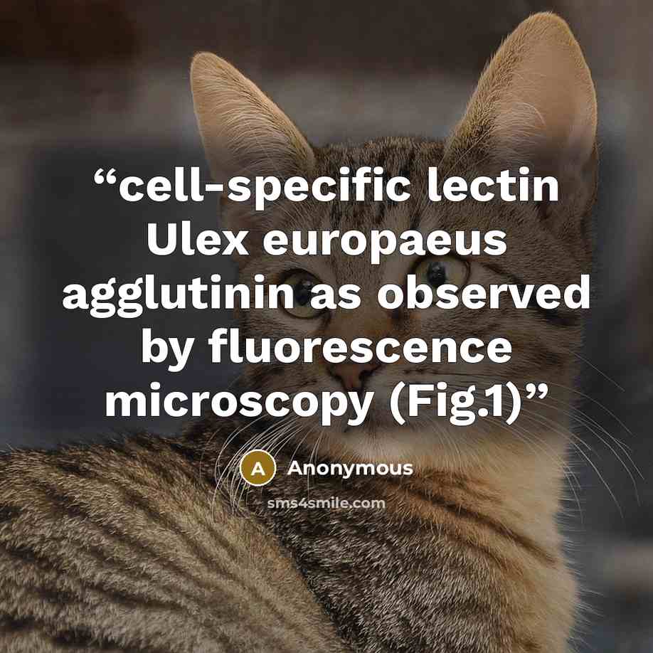 “cell-speciﬁc lectin Ulex europaeus agglutinin as observed by ﬂuorescence microscopy (Fig.1)” quote by Anonymous