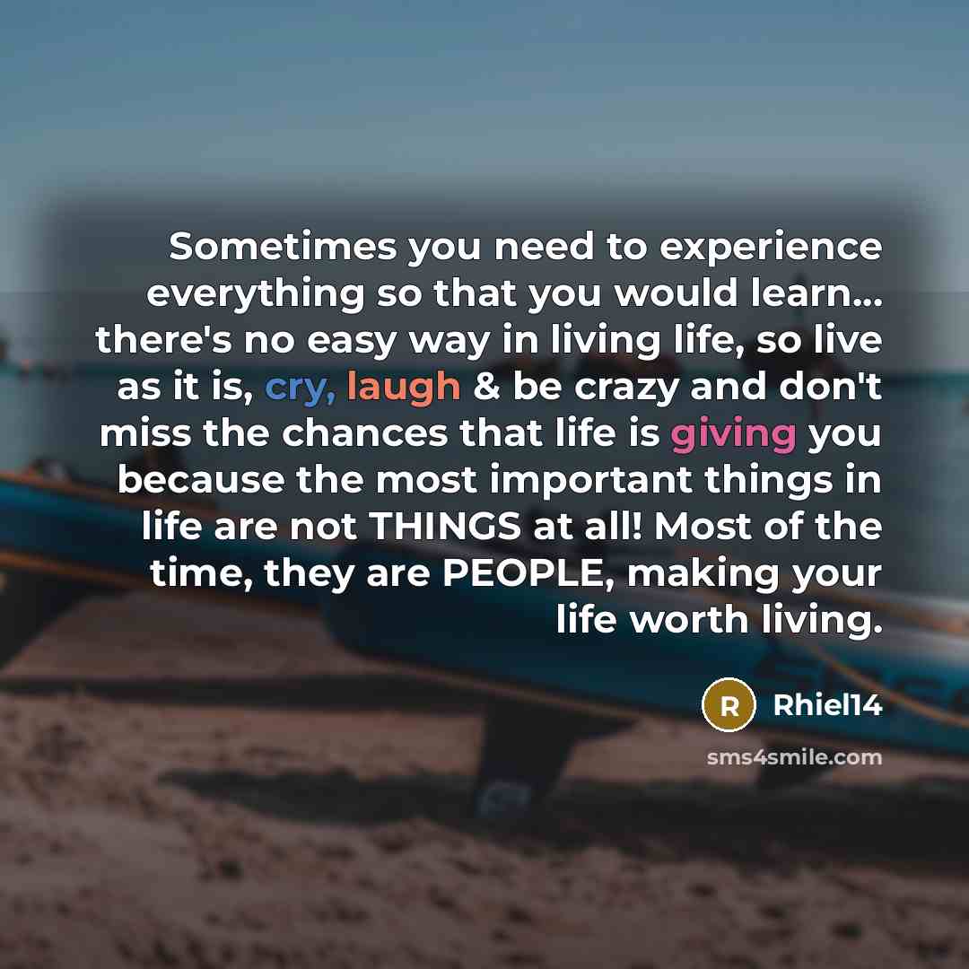 “Sometimes you need to experience everything so that you would learn... there's no easy way in living life, so live as it is, cry, laugh & be crazy and don't miss the chances that life is giving you because the most important things in life are not THINGS at all! Most of the time, they are PEOPLE…” quote by Rhiel14