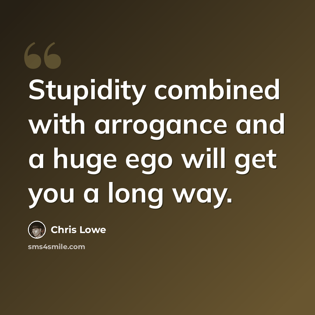 “Stupidity combined with arrogance and a huge ego will get you a long way.” quote by Chris Lowe
