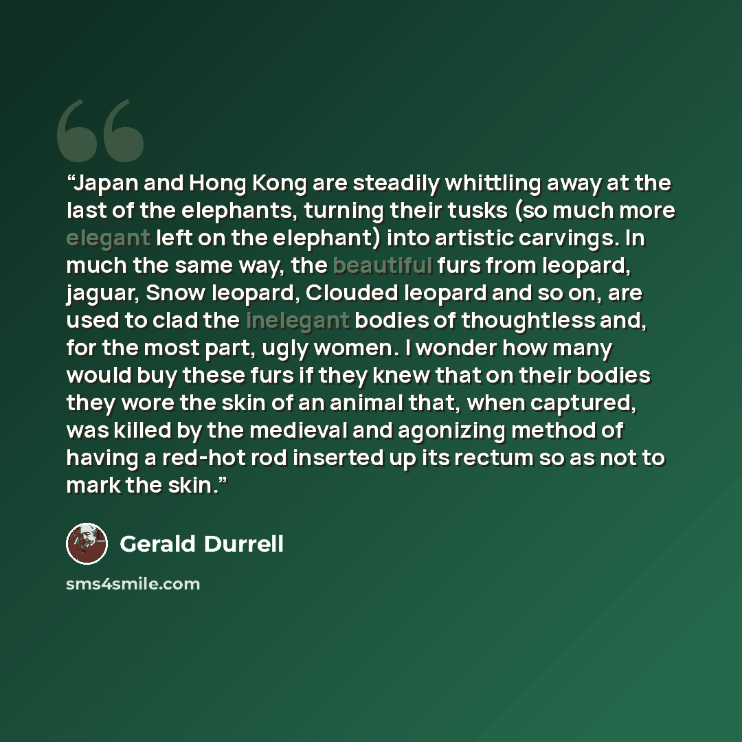 “Japan and Hong Kong are steadily whittling away at the last of the elephants, turning their tusks (so much more elegant left on the elephant) into artistic carvings. In much the same way, the beautiful furs from leopard, jaguar, Snow leopard, Clouded leopard and so on, are used to clad the…” quote by Gerald Durrell
