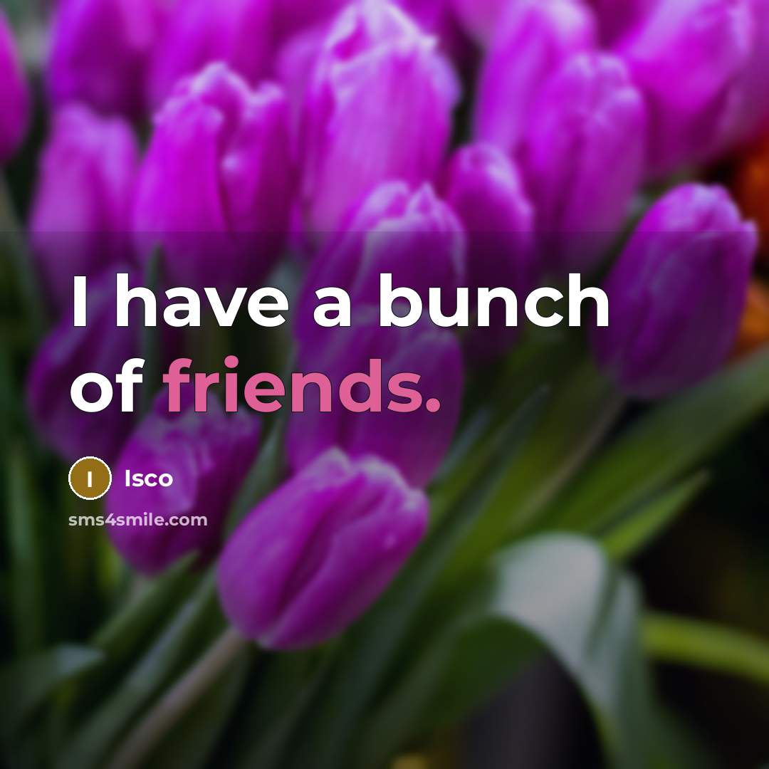 “I have a bunch of friends.” quote by Isco