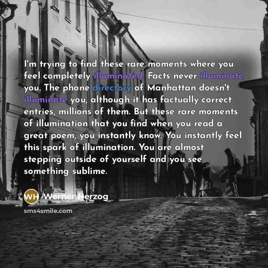“I'm trying to find these rare moments where you feel completely illuminated. Facts never illuminate you. The phone directory of Manhattan doesn't illuminate you, although it has factually correct entries, millions of them. But these rare moments of illumination that you find when you read a great…” quote by Werner Herzog