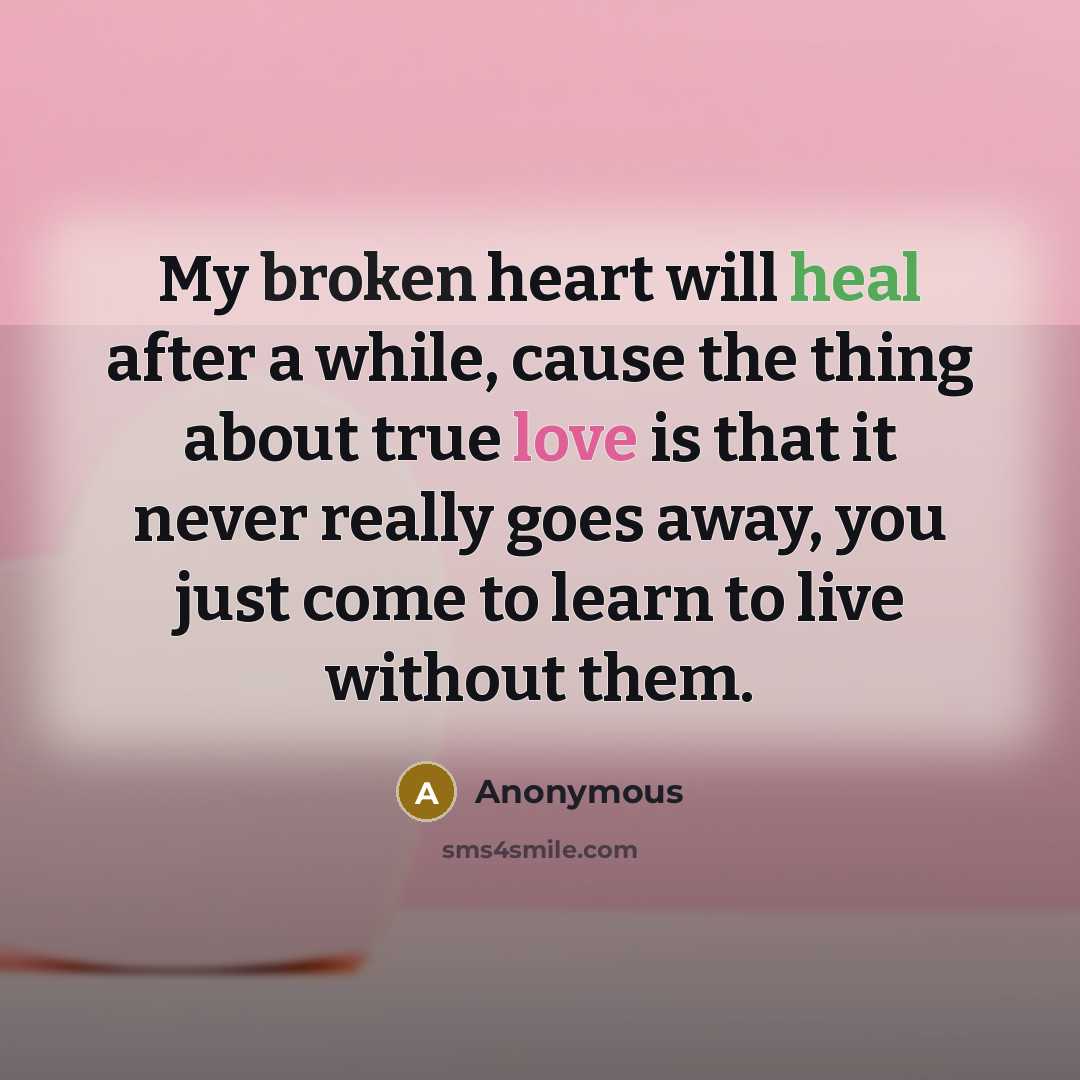 “My broken heart will heal after a while, cause the thing about true love is that it never really goes away, you just come to learn to live without them.” quote by Anonymous