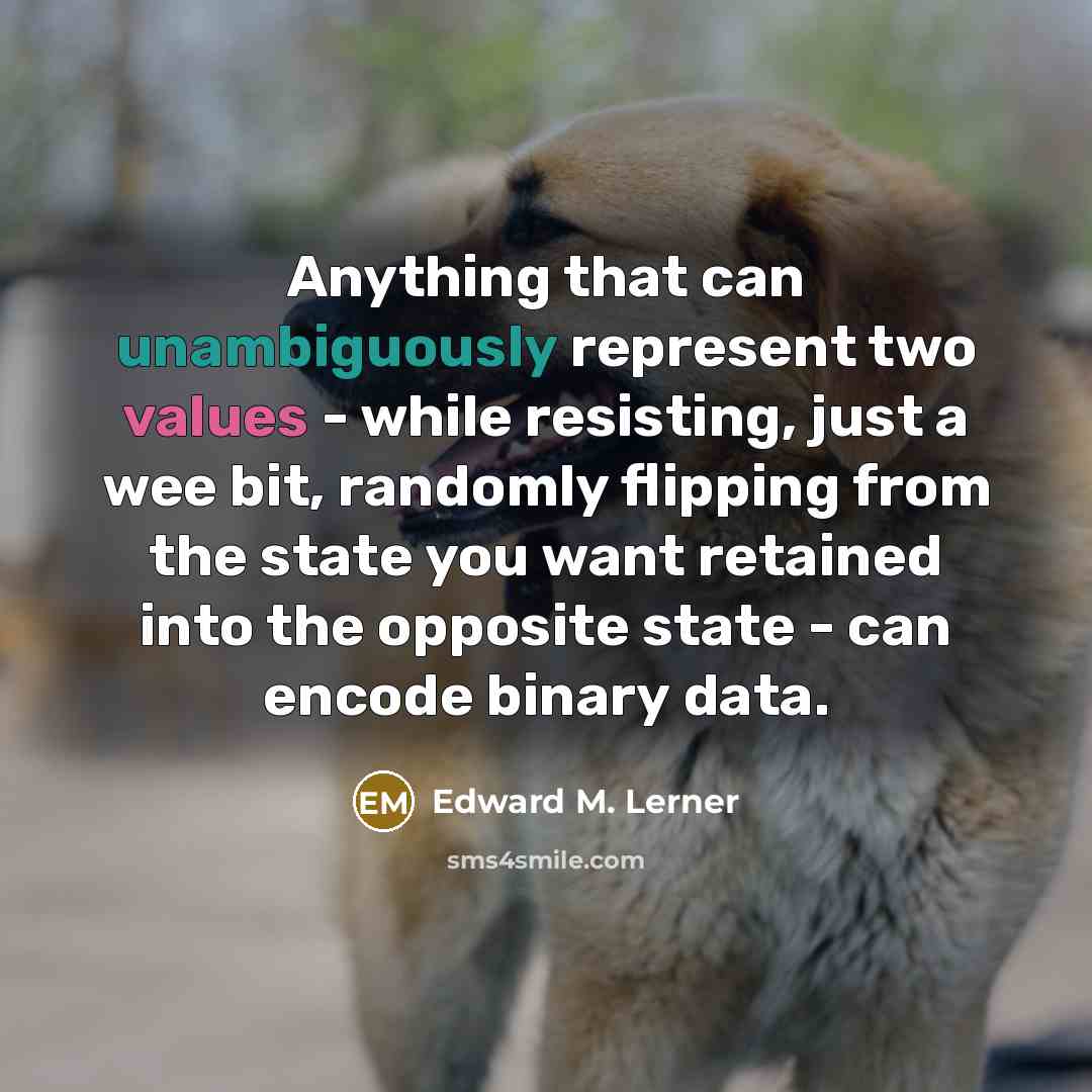 “Anything that can unambiguously represent two values - while resisting, just a wee bit, randomly flipping from the state you want retained into the opposite state - can encode binary data.” quote by Edward M. Lerner