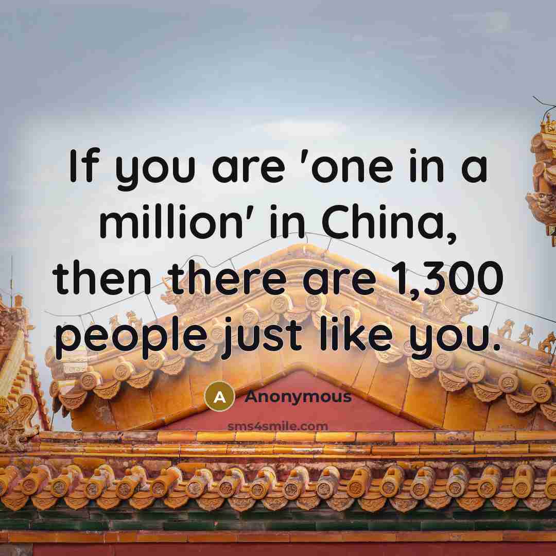 “If you are 'one in a million' in China, then there are 1,300 people just like you.” quote by Anonymous