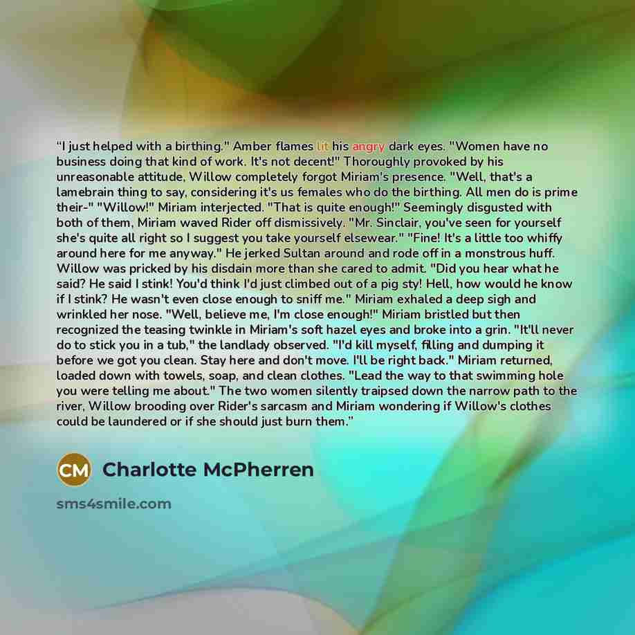 “I just helped with a birthing." Amber flames lit his angry dark eyes. "Women have no business doing that kind of work. It's not decent!" Thoroughly provoked by his unreasonable attitude, Willow completely forgot Miriam's presence. "Well, that's a lamebrain thing to say, considering it's us females…” quote by Charlotte McPherren