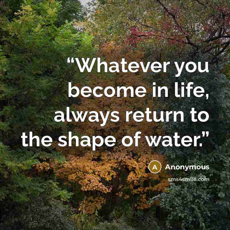 “Whatever you become in life, always return to the shape of water.” quote by Anonymous