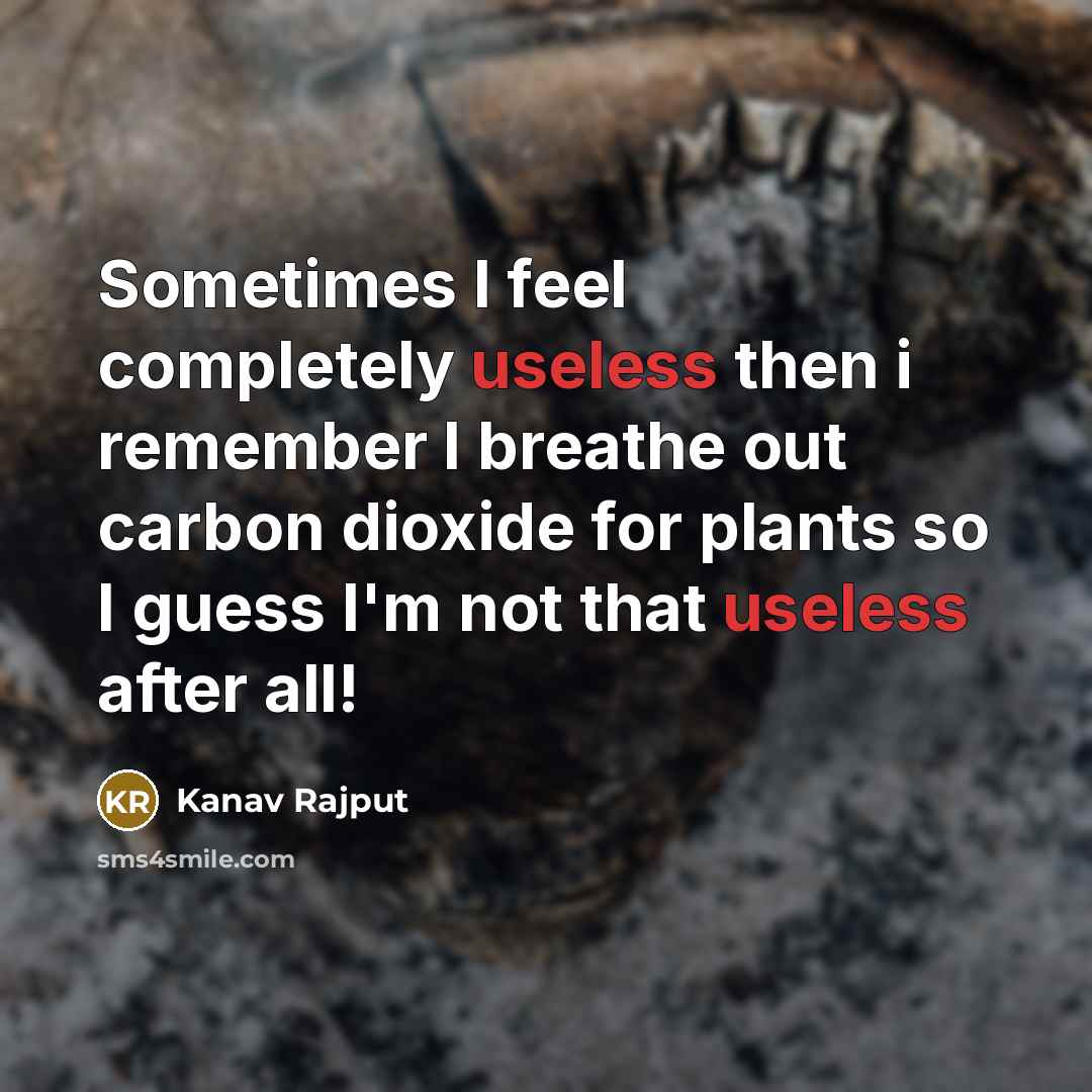“Sometimes I feel completely useless then i remember I breathe out carbon dioxide for plants so I guess I'm not that useless after all!” quote by Kanav Rajput