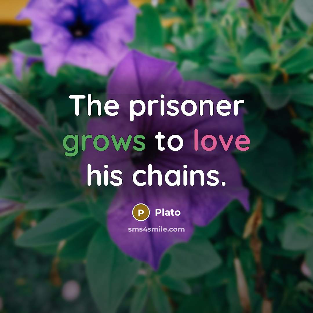 “The prisoner grows to love his chains.” quote by Plato