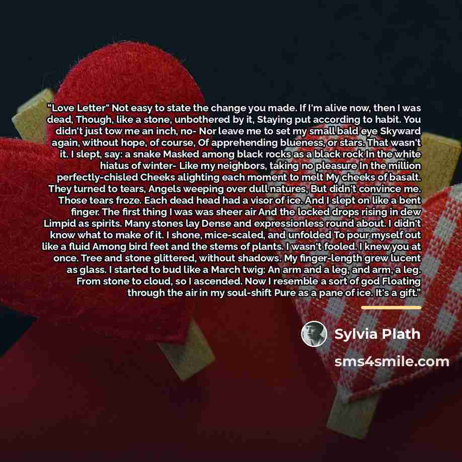 “Love Letter" Not easy to state the change you made. If I'm alive now, then I was dead, Though, like a stone, unbothered by it, Staying put according to habit. You didn't just tow me an inch, no- Nor leave me to set my small bald eye Skyward again, without hope, of course, Of apprehending blueness…” quote by Sylvia Plath