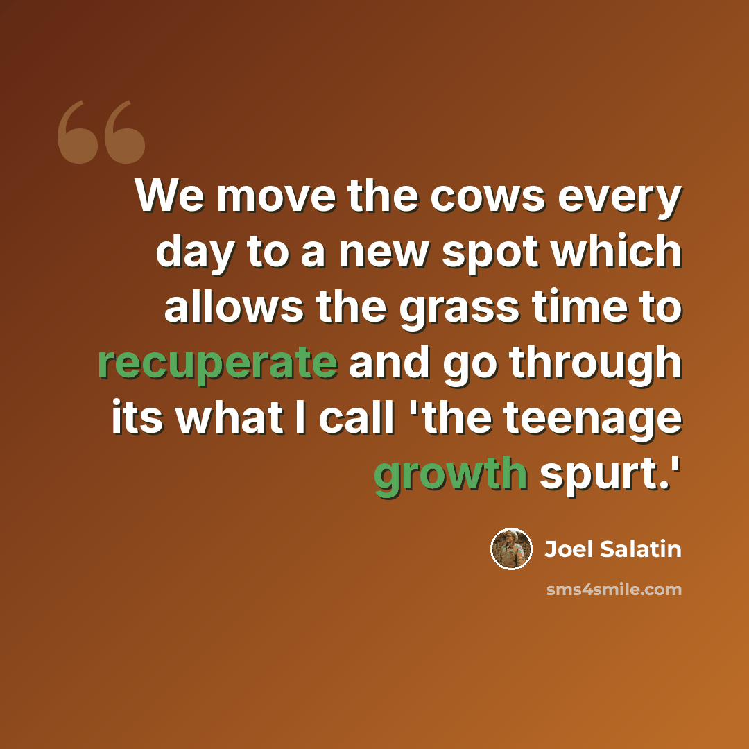 “We move the cows every day to a new spot which allows the grass time to recuperate and go through its what I call 'the teenage growth spurt.'” quote by Joel Salatin