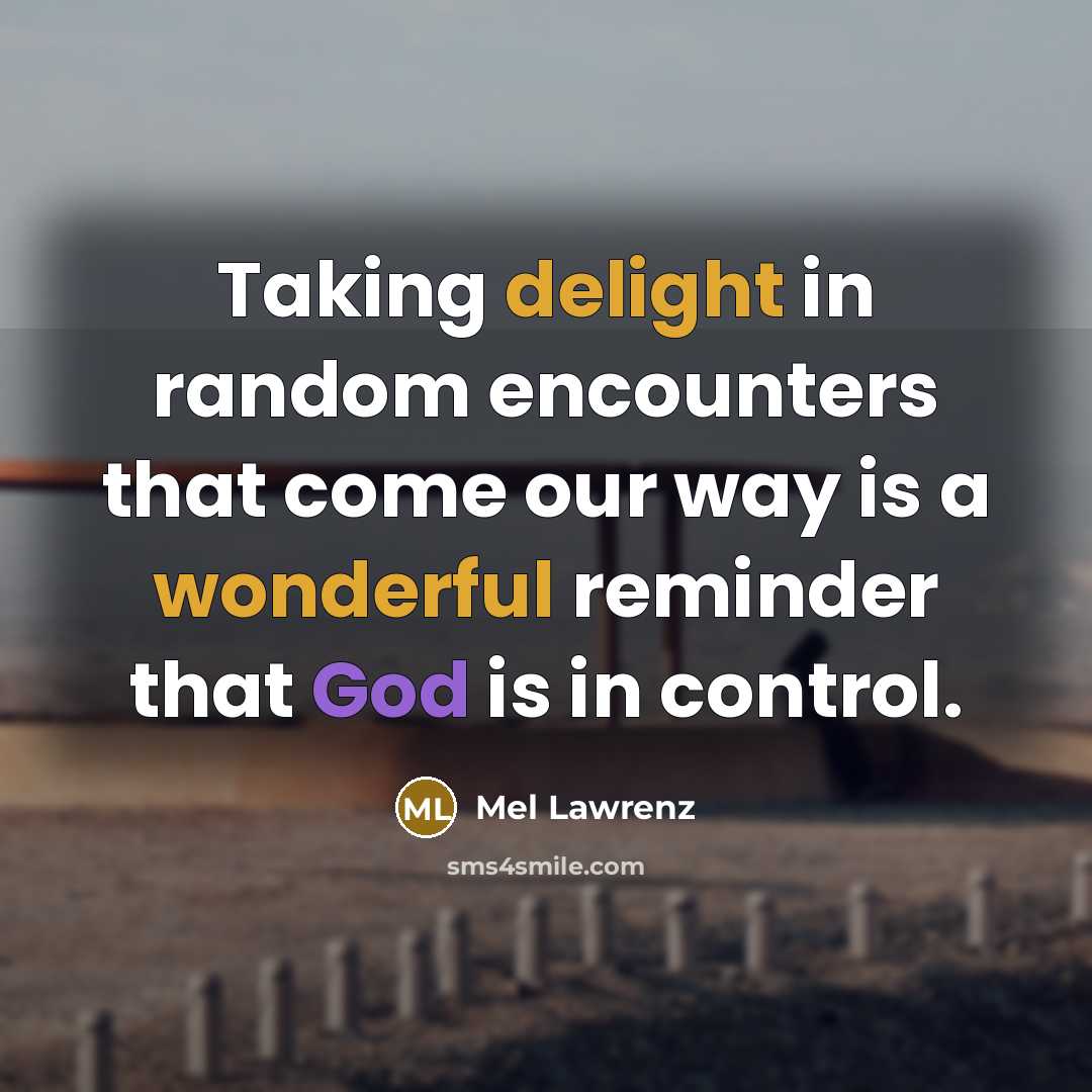 “Taking delight in random encounters that come our way is a wonderful reminder that God is in control.” quote by Mel Lawrenz
