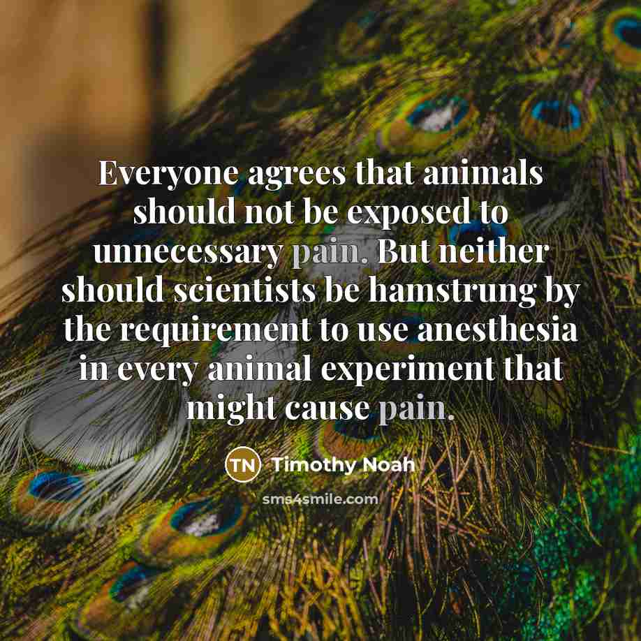 “Everyone agrees that animals should not be exposed to unnecessary pain. But neither should scientists be hamstrung by the requirement to use anesthesia in every animal experiment that might cause pain.” quote by Timothy Noah