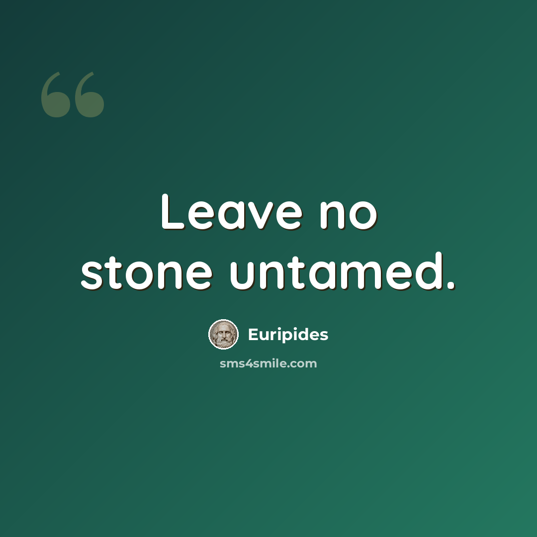“Leave no stone untamed.” quote by Euripides