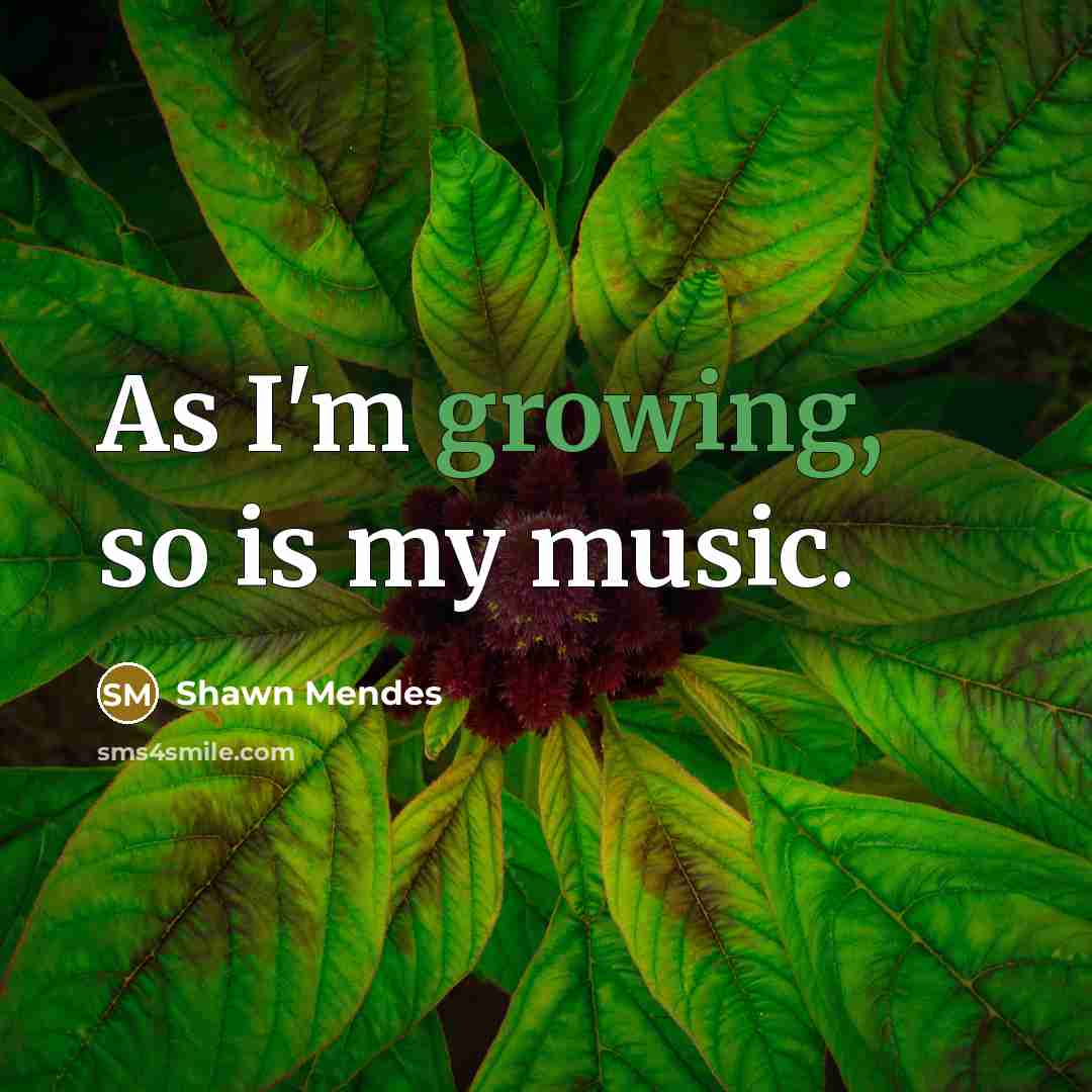 “As I'm growing, so is my music.” quote by Shawn Mendes