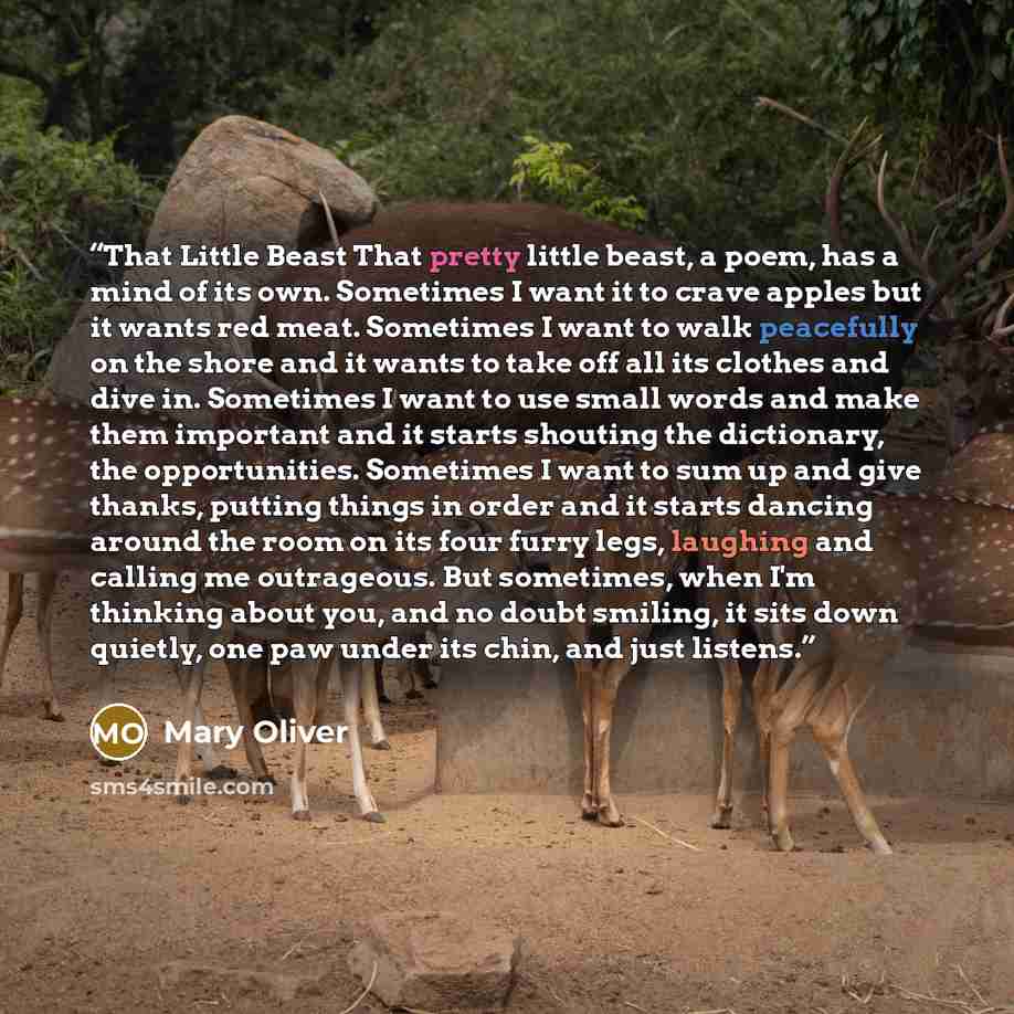 “That Little Beast That pretty little beast, a poem, has a mind of its own. Sometimes I want it to crave apples but it wants red meat. Sometimes I want to walk peacefully on the shore and it wants to take off all its clothes and dive in. Sometimes I want to use small words and make them important…” quote by Mary Oliver