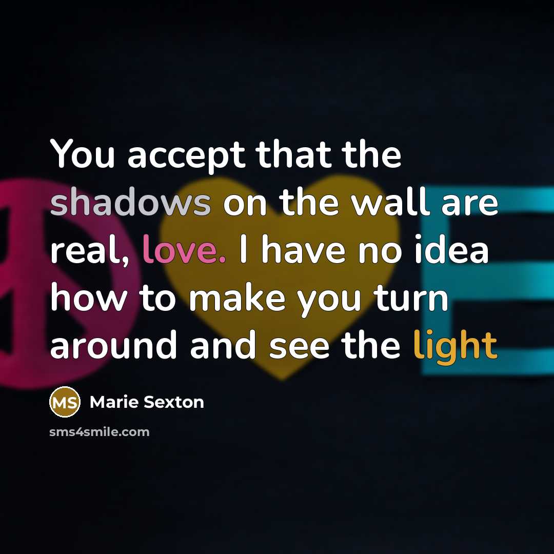 “You accept that the shadows on the wall are real, love. I have no idea how to make you turn around and see the light” quote by Marie Sexton