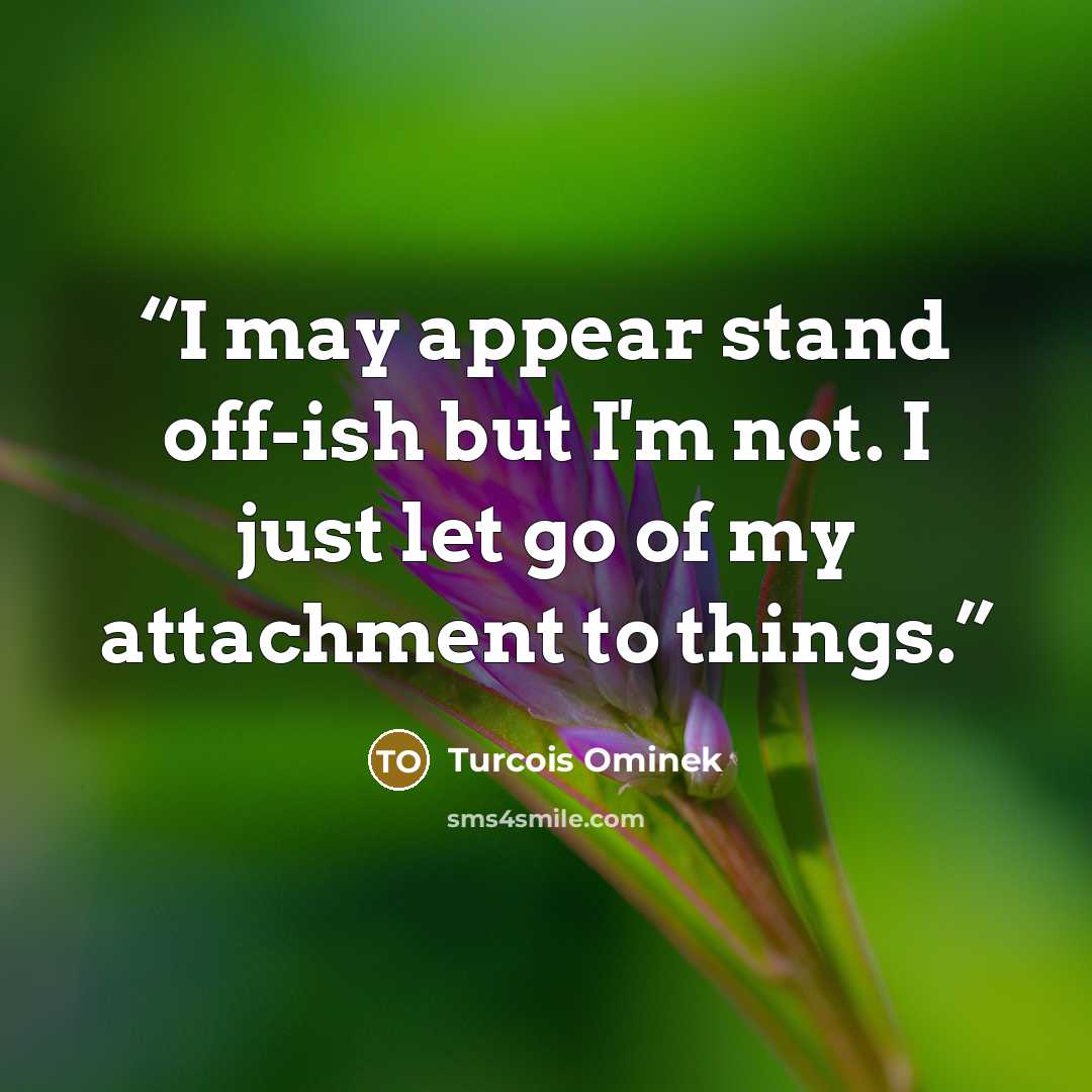 “I may appear stand off-ish but I'm not. I just let go of my attachment to things.” quote by Turcois Ominek
