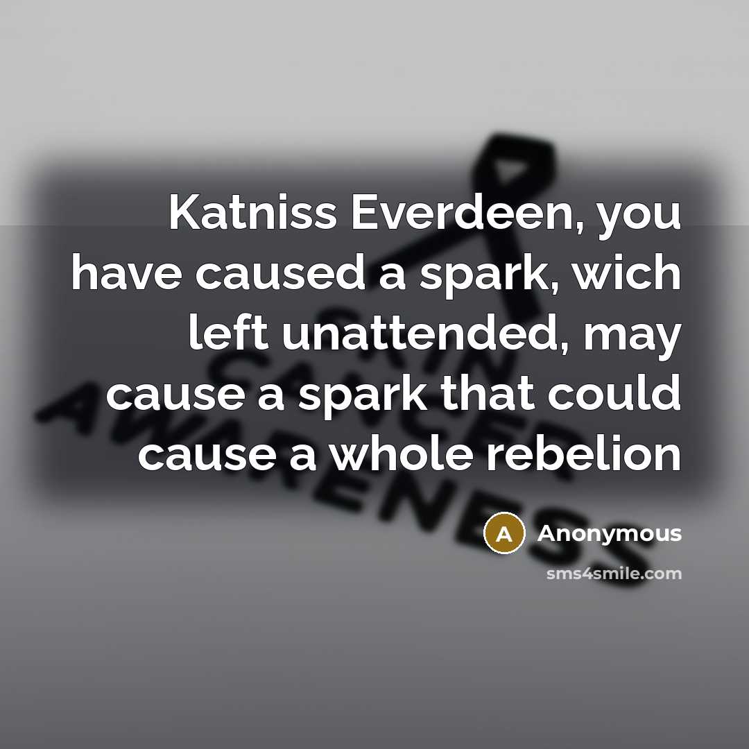 “Katniss Everdeen, you have caused a spark, wich left unattended, may cause a spark that could cause a whole rebelion” quote by Anonymous
