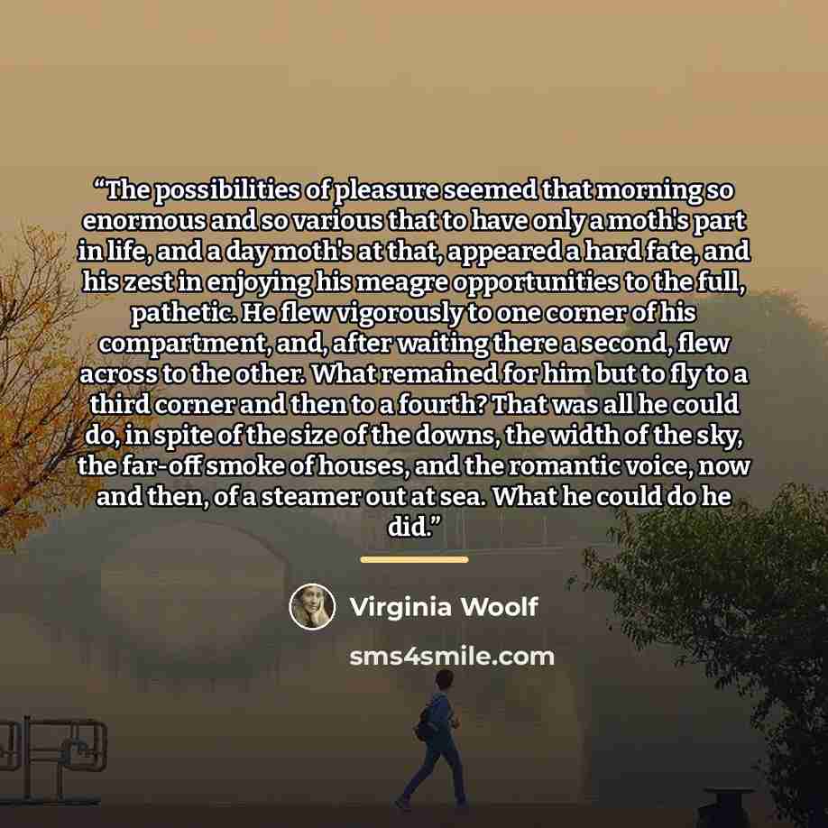 “The possibilities of pleasure seemed that morning so enormous and so various that to have only a moth's part in life, and a day moth's at that, appeared a hard fate, and his zest in enjoying his meagre opportunities to the full, pathetic. He flew vigorously to one corner of his compartment, and…” quote by Virginia Woolf