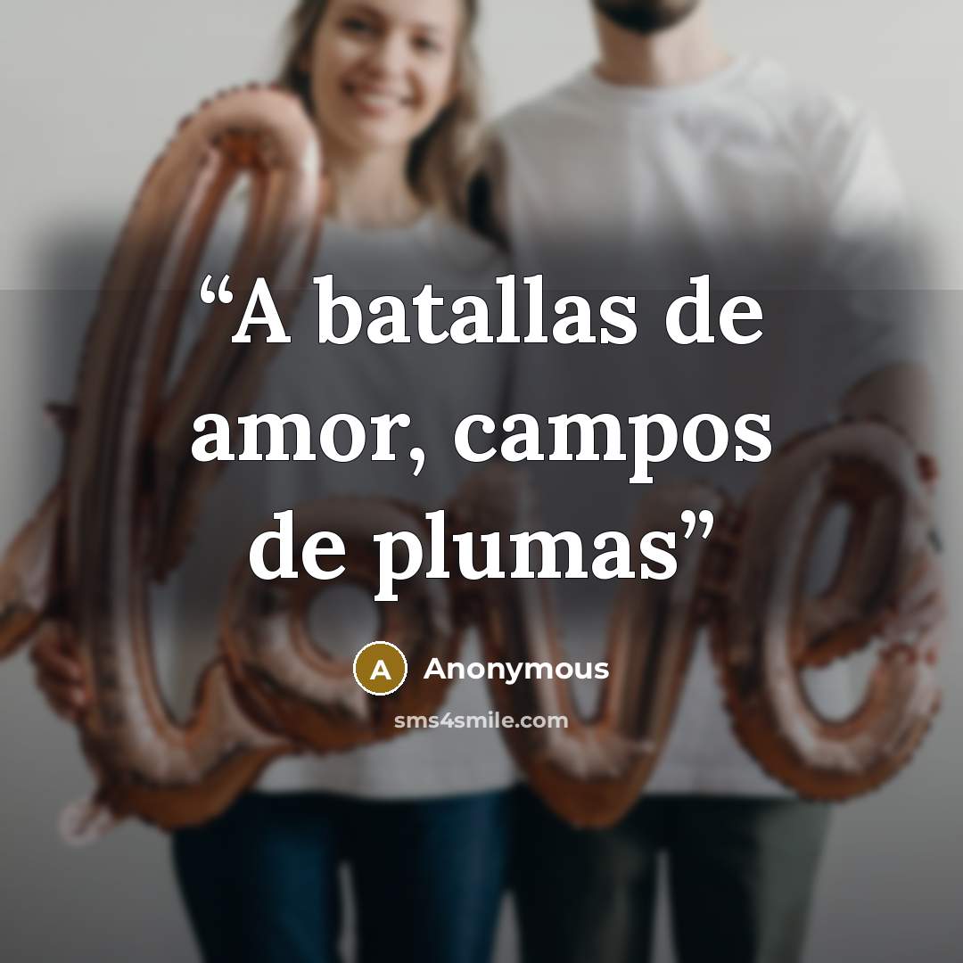 “A batallas de amor, campos de plumas” quote by Anonymous
