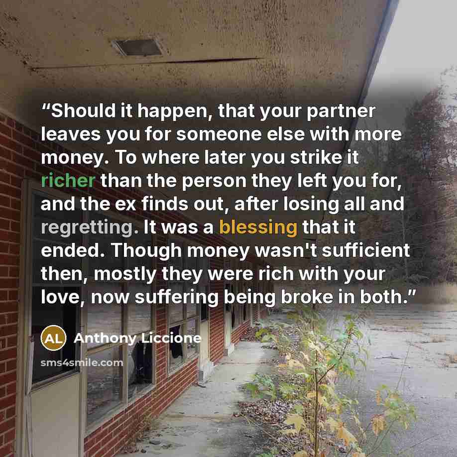 “Should it happen, that your partner leaves you for someone else with more money. To where later you strike it richer than the person they left you for, and the ex finds out, after losing all and regretting. It was a blessing that it ended. Though money wasn't sufficient then, mostly they were rich…” quote by Anthony Liccione
