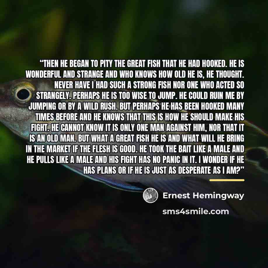 “Then he began to pity the great fish that he had hooked. He is wonderful and strange and who knows how old he is, he thought. Never have I had such a strong fish nor one who acted so strangely. Perhaps he is too wise to jump. He could ruin me by jumping or by a wild rush. But perhaps he has been…” quote by Ernest Hemingway