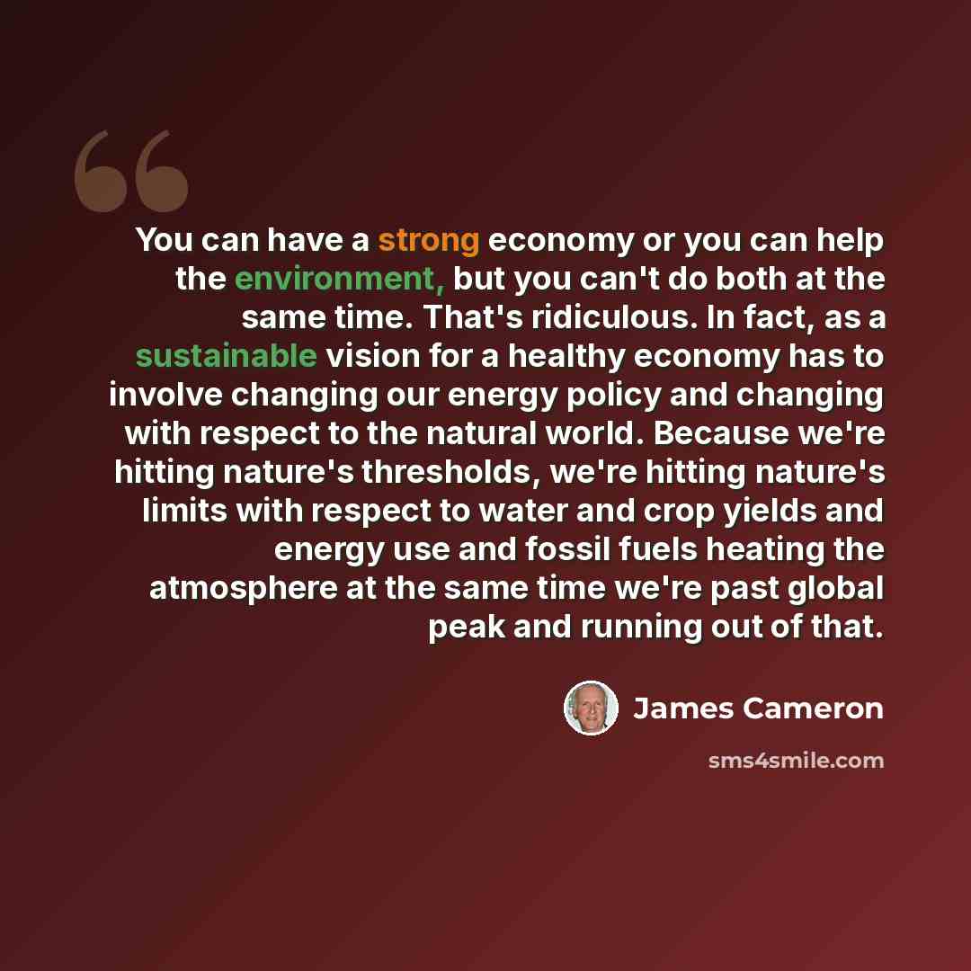 “You can have a strong economy or you can help the environment, but you can't do both at the same time. That's ridiculous. In fact, as a sustainable vision for a healthy economy has to involve changing our energy policy and changing with respect to the natural world. Because we're hitting nature's…” quote by James Cameron
