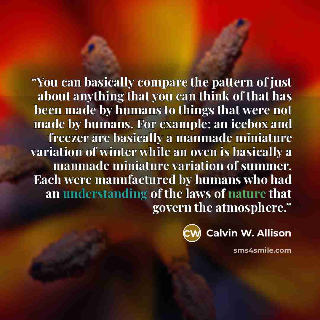 “You can basically compare the pattern of just about anything that you can think of that has been made by humans to things that were not made by humans. For example: an icebox and freezer are basically a manmade miniature variation of winter while an oven is basically a manmade miniature variation…” quote by Calvin W. Allison