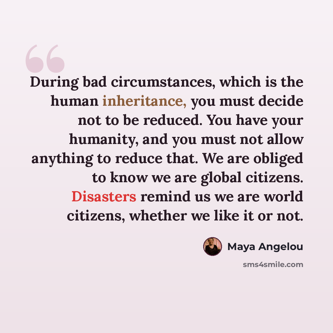 “During bad circumstances, which is the human inheritance, you must decide not to be reduced. You have your humanity, and you must not allow anything to reduce that. We are obliged to know we are global citizens. Disasters remind us we are world citizens, whether we like it or not.” quote by Maya Angelou